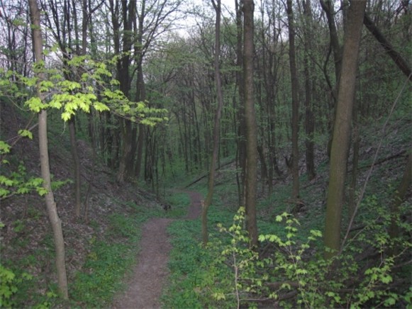 Image - A view of Kholodnyi Yar, near Chyhyryn, Cherkasy oblast.